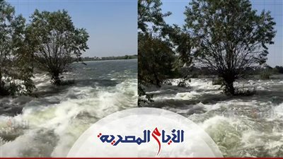 أول بيان رسمي بشأن فيضان نهر النيل 2025، الري: تصرفات إثيوبيا متهورة 