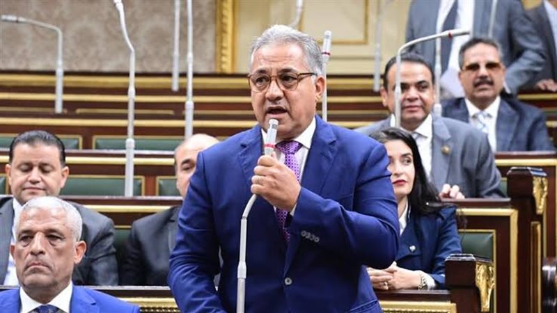 النائب أحمد السجيني،
