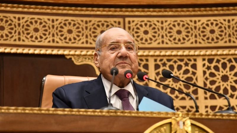 المستشار عبد الوهاب
