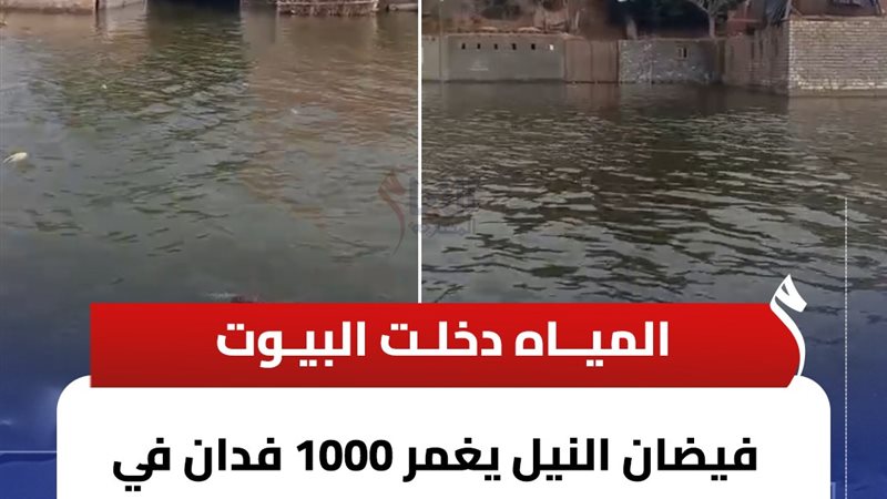 أشمون تغرق