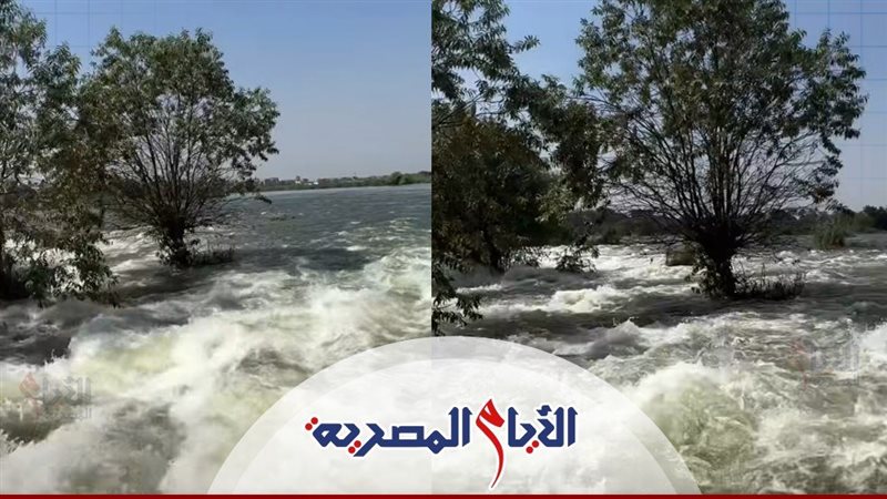 فيضان النيل