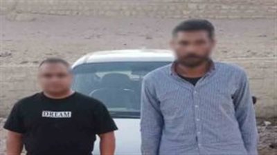 الداخلية تكشف ملابسات واقعة تسميم كلاب ضالة بالجيزة وتضبط المتهمين