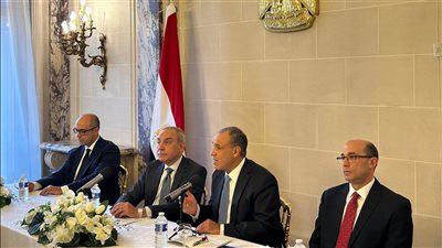 تفاصيل لقاء وزير الخارجية بأعضاء الجالية المصرية في فرنسا