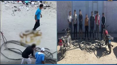 الداخلية تضبط تشكيل عصابي سرق كابل كهربائي ببورسعيد 