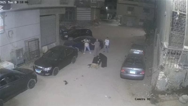الواقعة