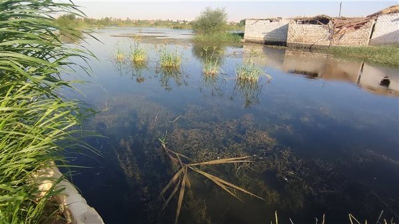 غمر مياه نهر النيل