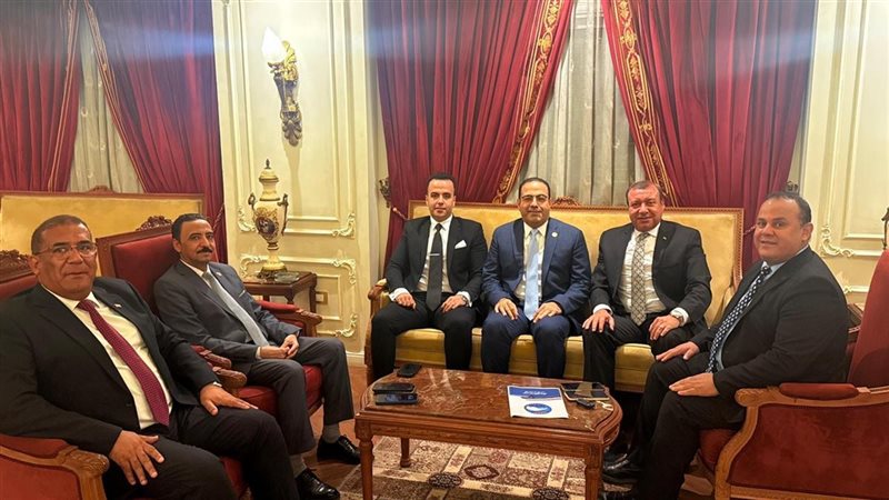 أمانة المصريين بالخارج