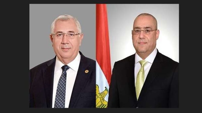 السيد القصير وعاصم