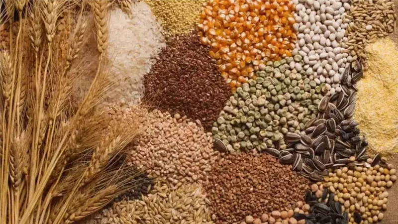 سعر طن الأعلاف في