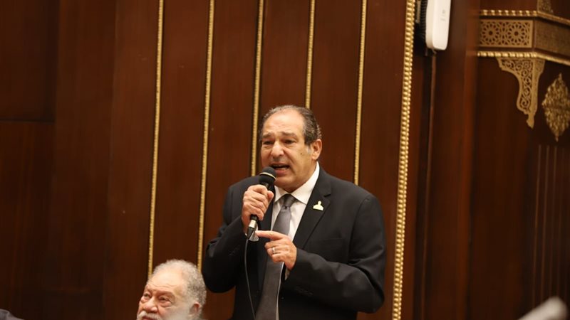 النائب حسام الخولي،