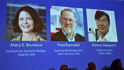 جائزة نوبل للطب 2025، فوز العلماء برونكو ورامسديل وساكاجوتشي بالجائزة (التفاصيل)