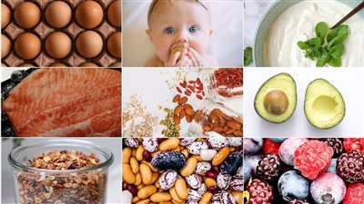 الأفوكادو والبيض منها، 8 أطعمة خارقة تعزز الذكاء الخارق لدى أطفالكم (التفاصيل) 