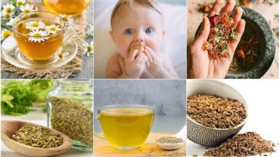 الكمون والكراوية منها، 5 أعشاب وتوابل داخل المنزل تعالج الجهاز الهضمي، التفاصيل 