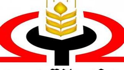 التجمع يدفع بـ 4 مرشحين على المقاعد الفردية لخوض انتخابات مجلس النواب 2025 (خاص)