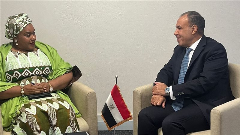 وزير الخارجية يلتقي