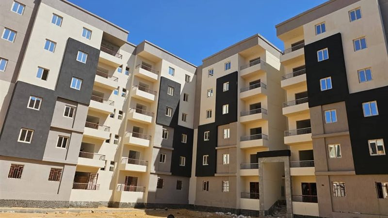 كراسة شروط ديارنا