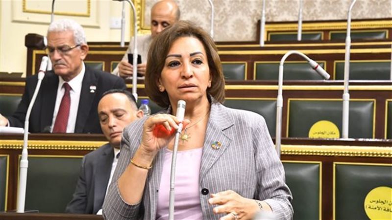 مها عبد الناصر
