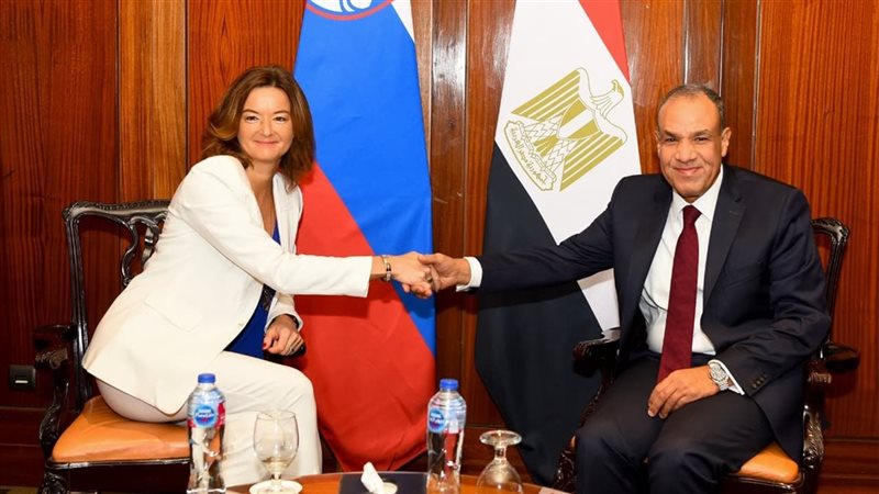 وزير الخارجية يستقبل