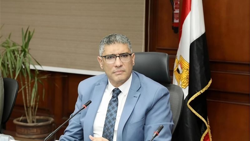 المهندس عادل النجار، محافظ الجيزة