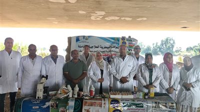 الزراعة: أكثر من 3700 رأس ماشية وطائر تلقوا رعاية بيطرية مجانية في قرى متضررة من ارتفاع النيل 