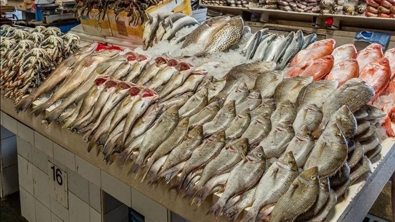 أسعار السمك اليوم