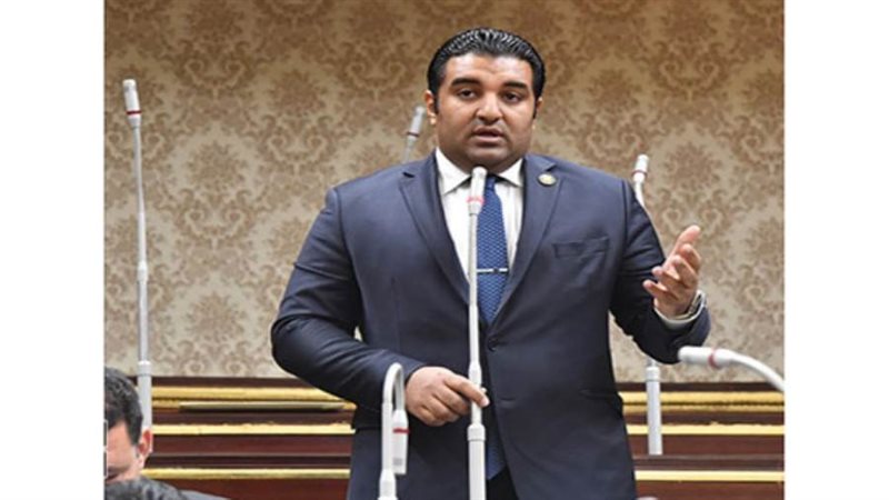 النائب محمود عصام،
