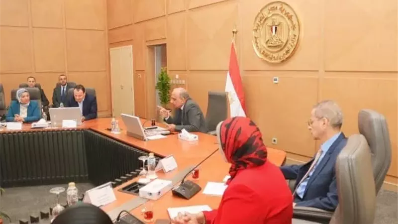 وزير الكهرباء