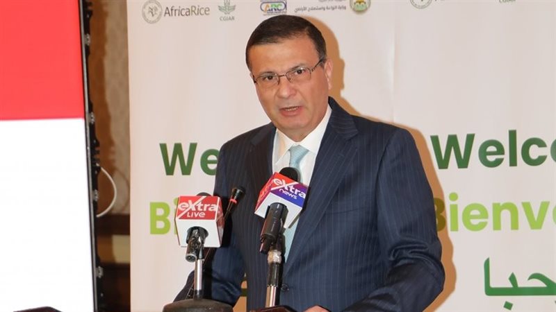 علاء فاروق، وزير