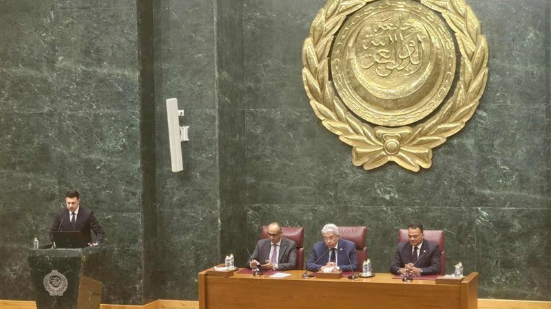 نموذج محاكاة برلمان