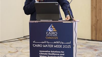 وزير الري يشيد بدور مؤسسة DHI في دعم التنمية المستدامة بالسواحل