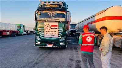 غذاء ودواء ووقود، 10 آلاف طن مساعدات في قافلة اليوم لغزة