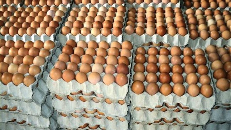 عربيات متنقلة لبيع