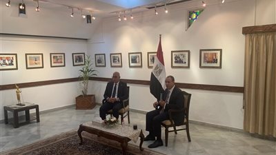 وزير الخارجية يلتقي بممثلي الجالية المصرية بنيودلهي