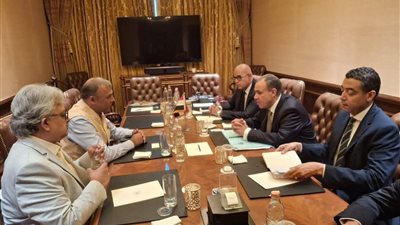 وزير الخارجية يلتقي رئيس شركة Ocior Energy للطاقة المتجددة