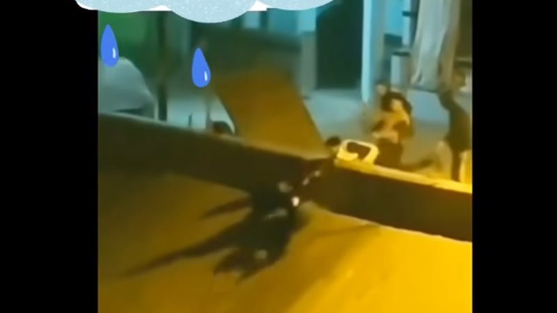 جريمة كفر الشيخ
