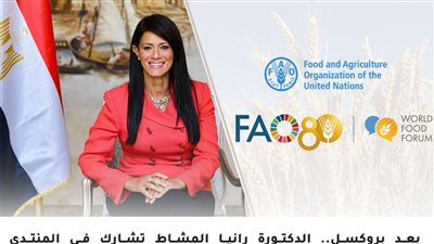 ضمن رؤية 2030، مصر تعتمد نموذج اقتصادي حقيقي لزيادة الإنتاجية