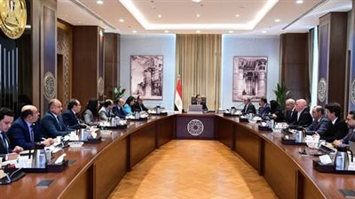 مدبولي يبحث مع 