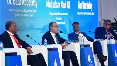 مصر تطلق مبادرة StREAM للتنمية في البحر الأحمر خلال منتدى أسوان للسلام