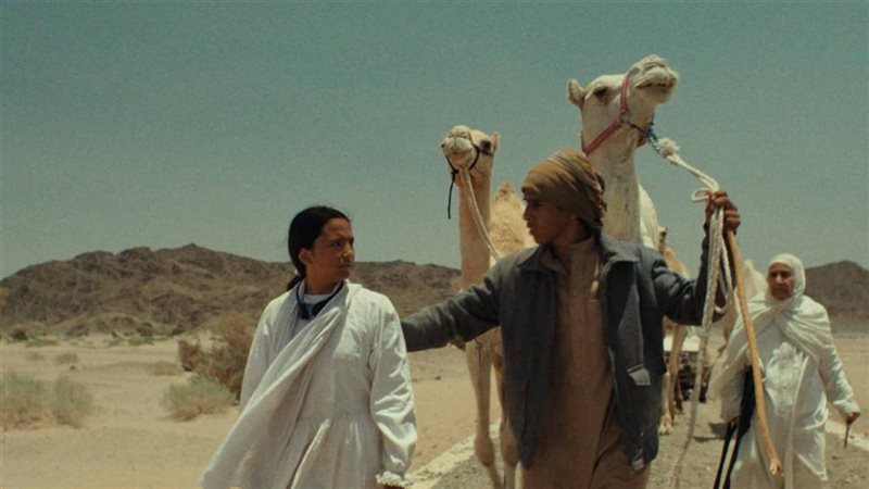 الفيم السعودى هجرة