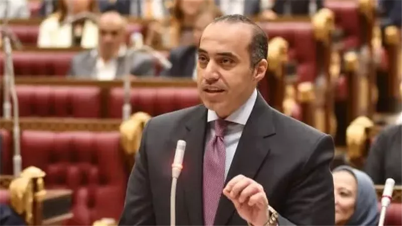 المستشار محمود فوزي