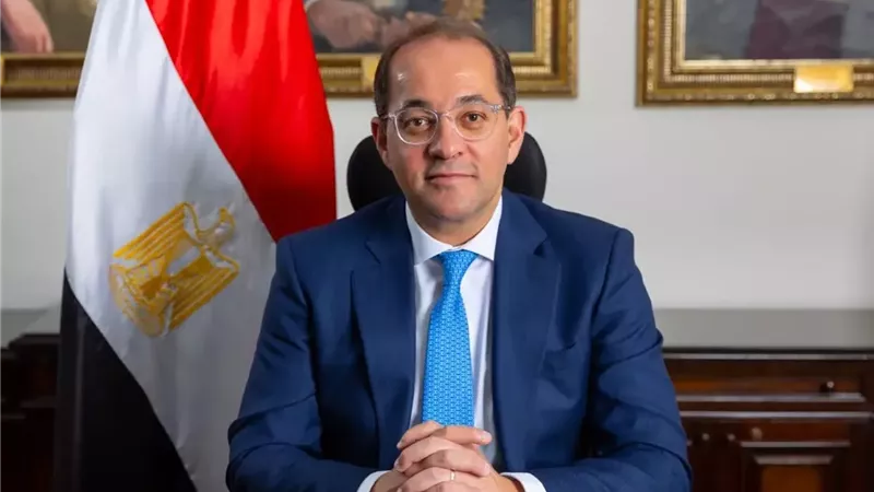 وزير المالية أحمد