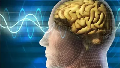 الخلية النجمية وعلاقتها بالكالسيوم، لماذا يصعب نسيان الذكريات السيئة؟