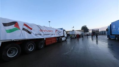 المساعدات المصرية تواصل التدفق إلى غزة عبر منفذي العوجة وكرم أبو سالم 