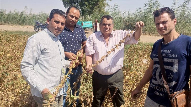 الزراعة التعاقدية