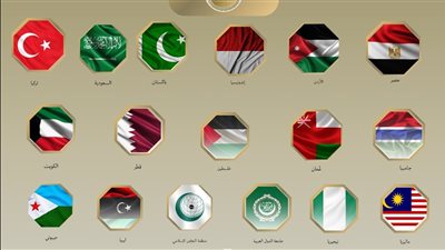 القاهرة و14 عاصمة عربية وإسلامية: لا سيادة لإسرائيل على الأراضي الفلسطينية المحتلة