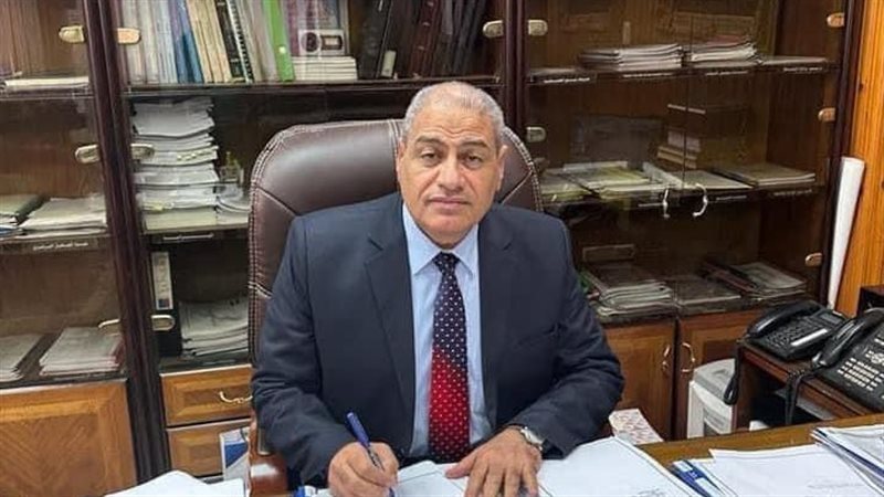 كهرباء شمال الدلتا