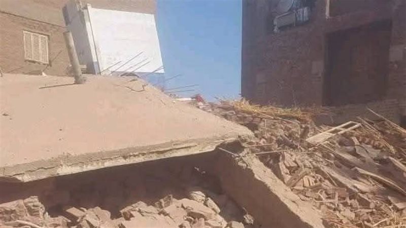 الايام المصرية