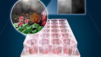 بضوء ليد LED، علاج جديد مبتكر يقضي على خلايا السرطان ما القصة؟