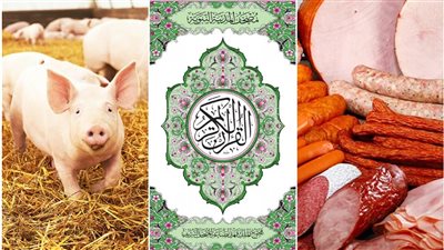 القرآن حرمه من 1400 عام، علماء يطالبون بحظر إنتاج لحم الخنزير ما القصة؟
