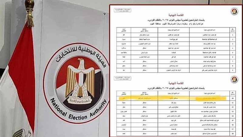 الهيئة الوطنية للانتخابات